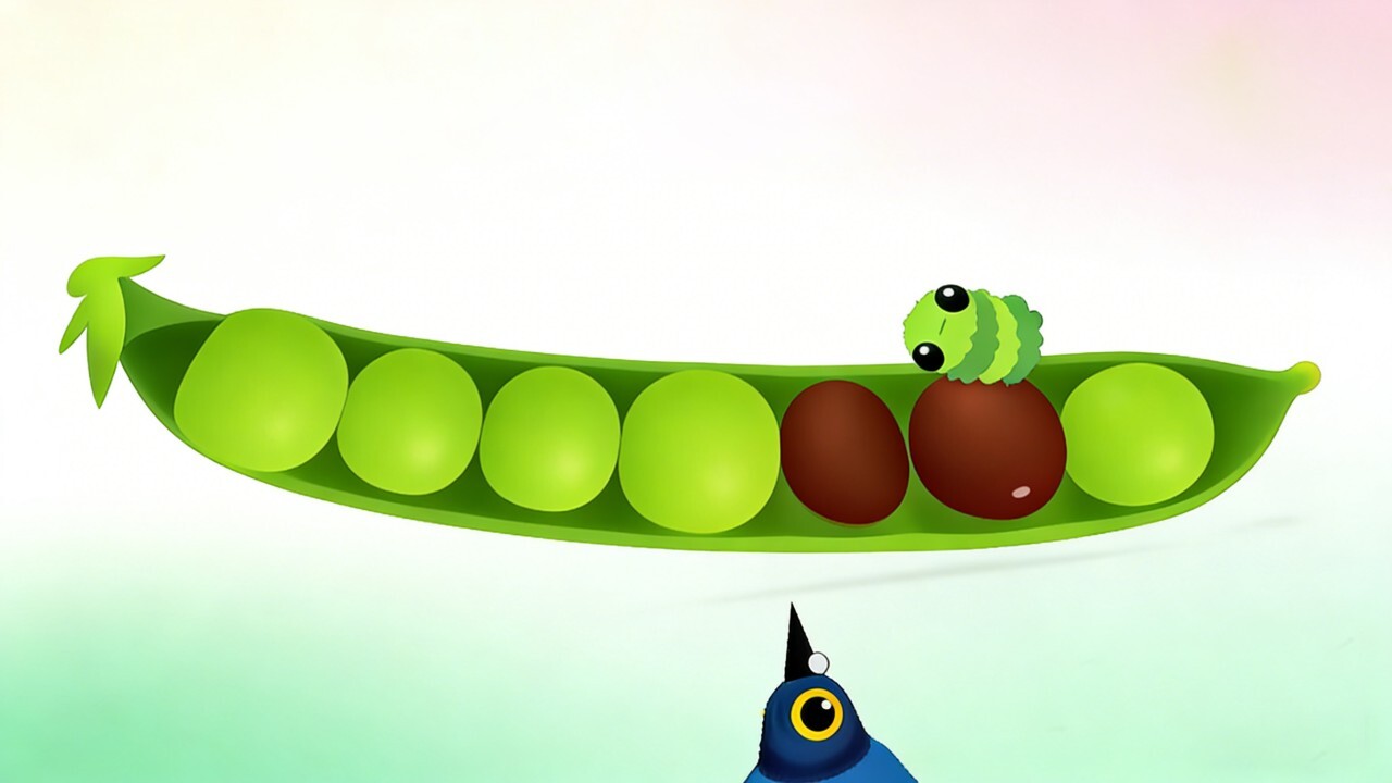 疯狂的鸽子2026版